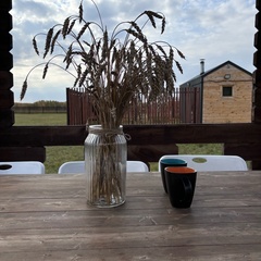 База отдыха Отдых и точка, Омская область