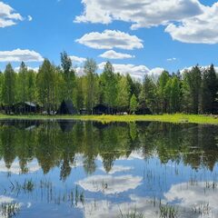 Гостевой дом Домик в соснах, Владимирская область