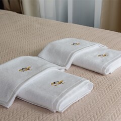 Гостевой дом Домик в соснах, Владимирская область