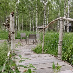 Гостевой дом Домик в соснах, Владимирская область