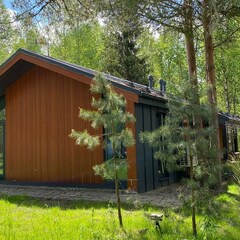 Гостевой дом Домик в соснах, Владимирская область