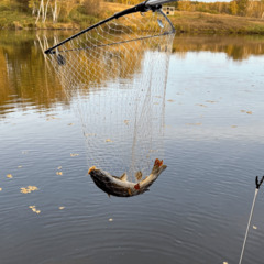 Гостевой дом Лес & Озеро, Тульская область