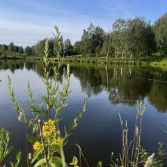 Гостевой дом Лес & Озеро, Тульская область