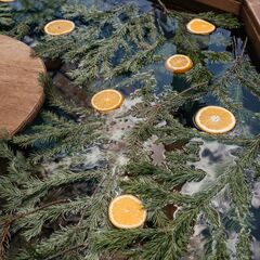 Гостевой дом Лес & Озеро, Тульская область