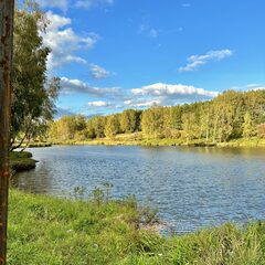 Гостевой дом Лес & Озеро, Тульская область