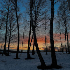 Гостевой дом Лес & Озеро, Тульская область