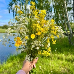 Гостевой дом Лес & Озеро, Тульская область