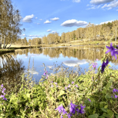 Гостевой дом Лес & Озеро, Тульская область