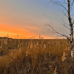 Гостевой дом Лес & Озеро, Тульская область