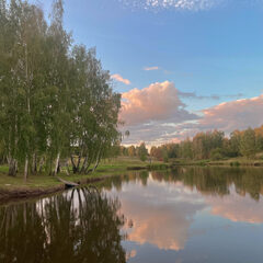 Гостевой дом Лес & Озеро, Тульская область