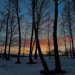 Гостевой дом Лес & Озеро, Тульская область