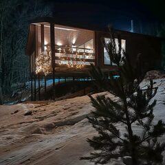 Гостевой дом Лес & Озеро, Тульская область