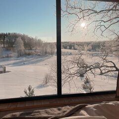 Гостевой дом Лес & Озеро, Тульская область