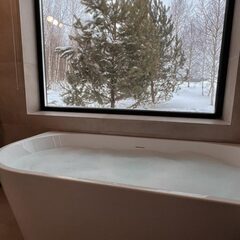 Гостевой дом Лес & Озеро, Тульская область