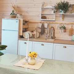 Дом БАРНи, Костромская область