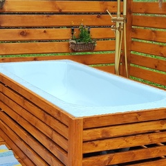 Дом БАРНи, Костромская область