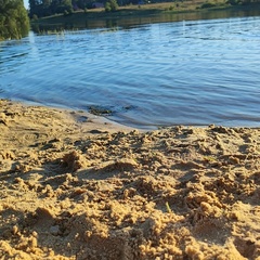 Дом БАРНи, Костромская область