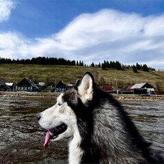 Глэмпинг Горы Реки, Пермский край