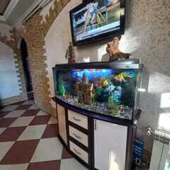 Отель Приморье с бассейном, Анапа, Краснодарский край