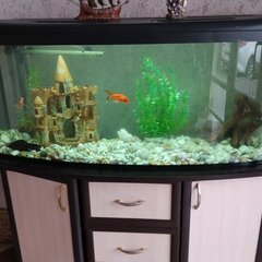 Отель Приморье с бассейном, Анапа, Краснодарский край