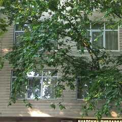 Отель Приморье с бассейном, Анапа, Краснодарский край