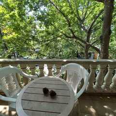 Отель Приморье с бассейном, Анапа, Краснодарский край