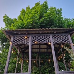 База отдыха Кусто , Калининградская область