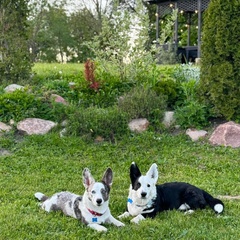 База отдыха Кусто , Калининградская область