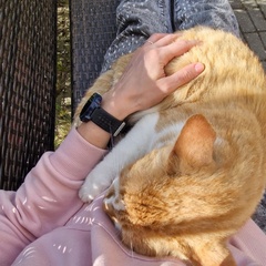 База отдыха Кусто , Калининградская область