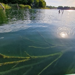 База отдыха Кусто , Калининградская область