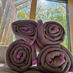 База отдыха Кусто , Калининградская область