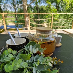 База отдыха Кусто , Калининградская область