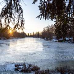 Усадьба Вартемяги, Ленинградская область