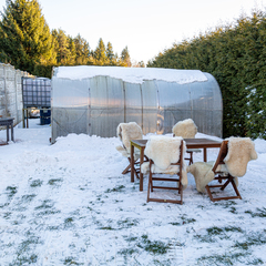 Усадьба Вартемяги, Ленинградская область