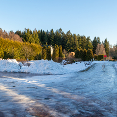 Усадьба Вартемяги, Ленинградская область
