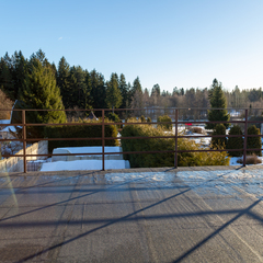 Усадьба Вартемяги, Ленинградская область