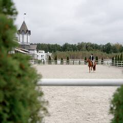 Загородный комплекс Звёздный, Московская область