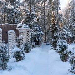 База отдыха Лопановичъ PARK, Ленинградская область