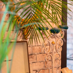 База отдыха Лопановичъ PARK, Ленинградская область