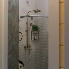 База отдыха Лопановичъ PARK, Ленинградская область