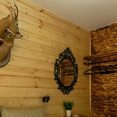 База отдыха Лопановичъ PARK, Ленинградская область