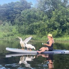 Коттеджный комплекс Веселые гуси, Московская область