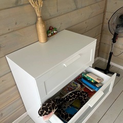 База отдыха Заячий Хутор , Новгородская область