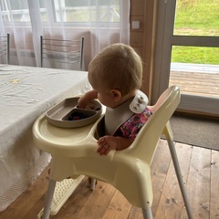 База отдыха Заячий Хутор , Новгородская область