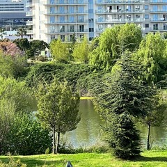 Гостевой дом Некрасовка, Краснодарский край