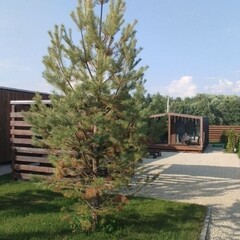 Загородный дом Грядок.Нет, Московская область