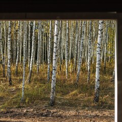 Глэмпинг Norke Есенинская русь, Рязанская область