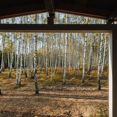 Глэмпинг Norke Есенинская русь, Рязанская область