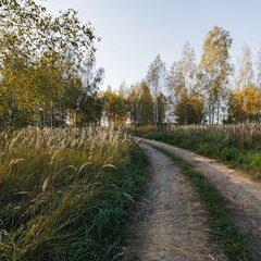 Глэмпинг Norke Есенинская русь, Рязанская область