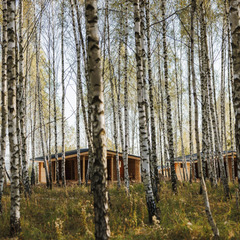 Глэмпинг Norke Есенинская русь, Рязанская область